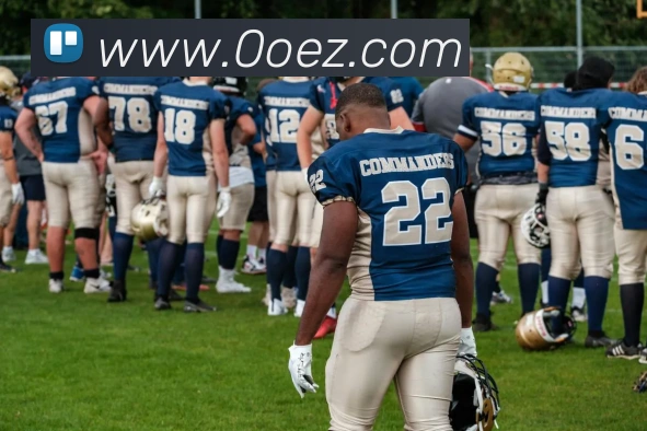 App功能展示图